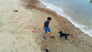 海滩上的男孩和狗7秒视频