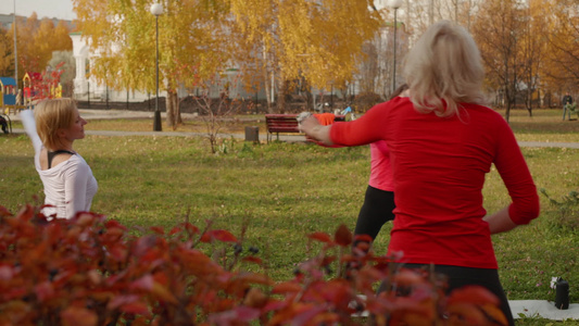 运动妇女一起在公园跳舞的低角度视角视频