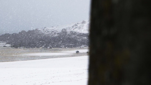 暴风雪15秒视频