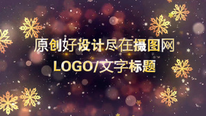 圣诞炫酷喜庆粒子飞舞文字宣传会声会影X10模板25秒视频