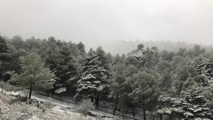 西西里的冰川风景13秒视频