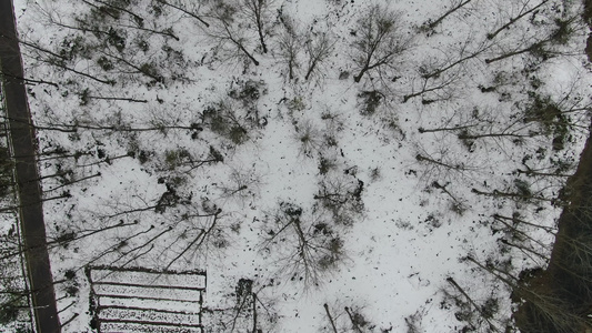 俯拍冬天森林雪景视频