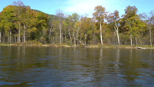 波沙亚乌苏尔卡河和木林山丘视频