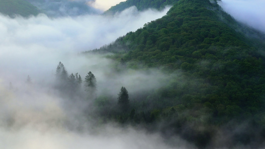 多雾路段视频