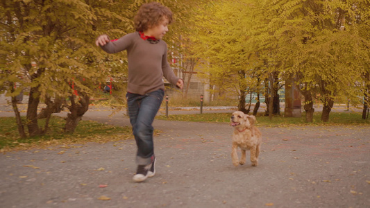 顽皮的孩子们在秋天的街道上和狗一起奔跑视频