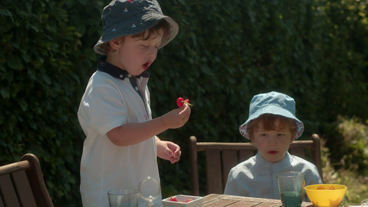两个小男孩站在花园的桌子旁，吃着浆果。视频