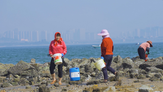 000海边赶海的人视频