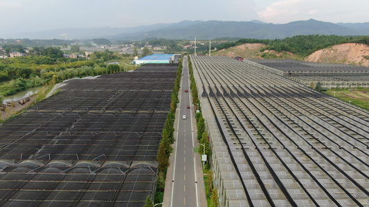 航拍现代农业大棚种植基地视频