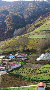 航拍秋色中的小山村新农村视频