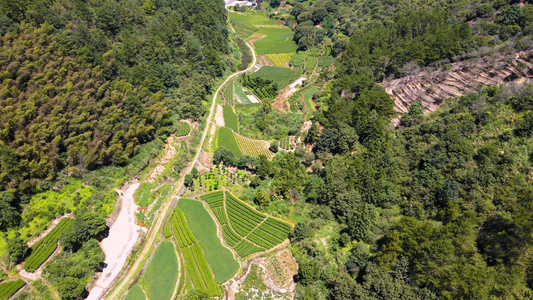 4A风景区丽水东西岩山谷梯田航拍合集4K视频