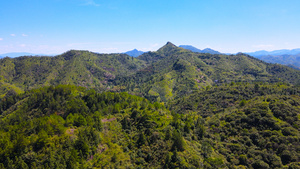 4A风景区丽水东西岩山脉自然森林航拍合集4K76秒视频