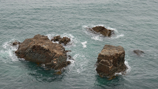 猫头鹰海岸北端视频