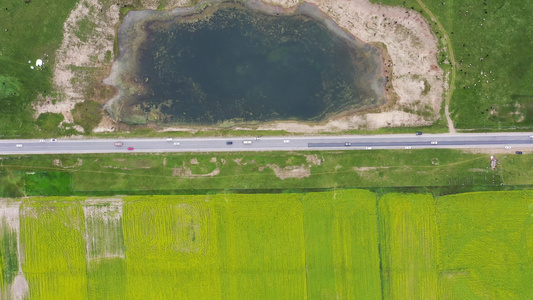 青海湖景区油菜花海行驶的汽车航拍视频
