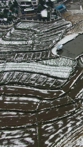 冬天农田农业种植雪景竖屏航拍视频