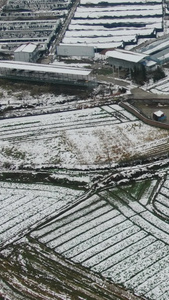 冬天农田农业种植雪景竖屏航拍视频