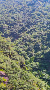 天脊龙门风景区4A风景区航拍合集浙江旅游视频