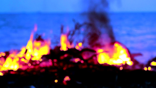 海上燃烧木柴和垃圾对海洋生物造成污染;以及视频