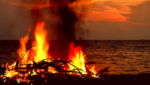 在海边燃烧木材和垃圾会对海洋生物和环境造成污染12秒视频