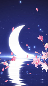月夜桃花飘动背景视频视频