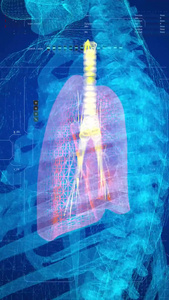 超强三维科技人体肺部视频视频