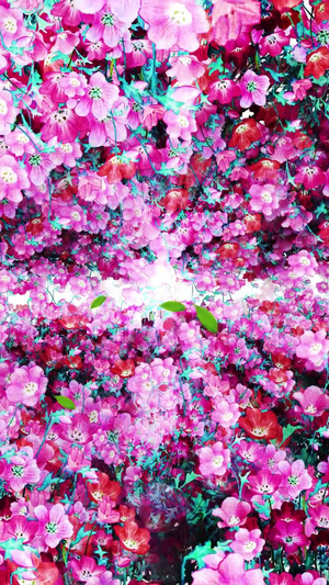 唯美的花丛穿梭背景素材30秒视频