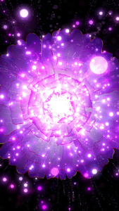 紫色粒子牡丹花背景视频