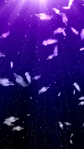 紫色唯美羽毛背景竖版背景舞台视频