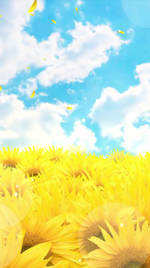 清新动态唯美向日葵粒子花瓣背景视频视频