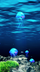 唯美的海底水母视频素材视频
