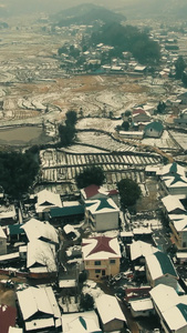 乡村田园农业雪景竖屏航拍视频