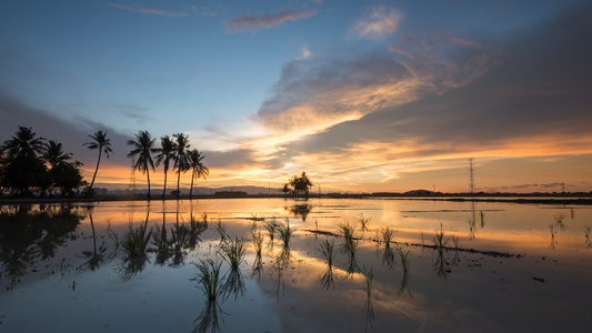 椰子树上多彩的日落时间反射视频