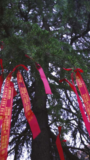 慢动作升格拍摄传统清明节寺庙祈福祭拜彩带宗教民俗慢镜头59秒视频