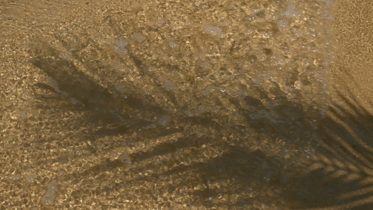 4.k. 椰子棕榈树叶叶阴影伸展在沙滩上,水流波浪晶晶体清水冲出沙滩视频