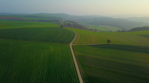 德国莱茵兰田园稻田航拍景观21秒视频
