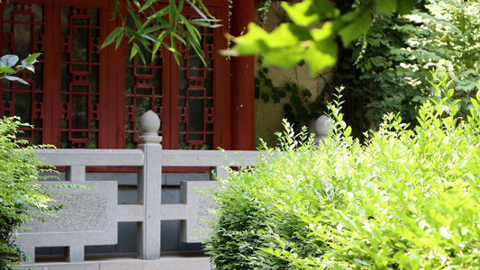 夏日古代建筑前的一个角落风景视频