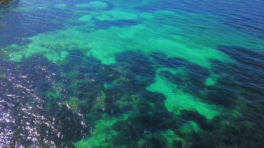 海藻视频