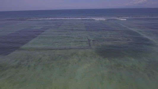 卡朗沙里村Nusa penida岛海滩海草种植园的空中观察视频