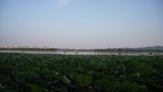 杭州西湖风景区4K风光视频视频