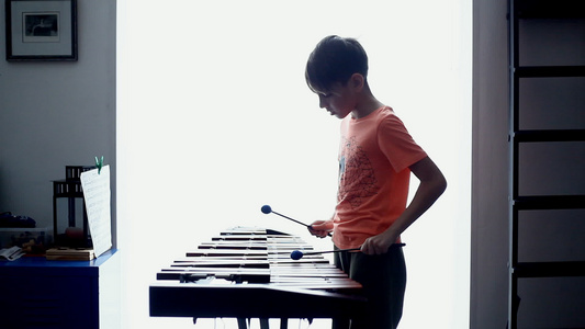 演奏木琴视频