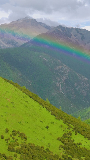 牧羊盆地大草原的彩虹热气球31秒视频