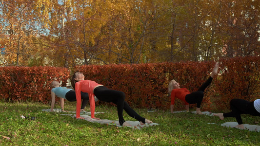 健身组在美丽的秋天公园里工作视频