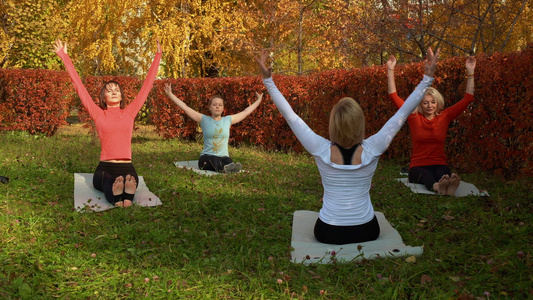 健身组在公园垫子上练瑜伽视频