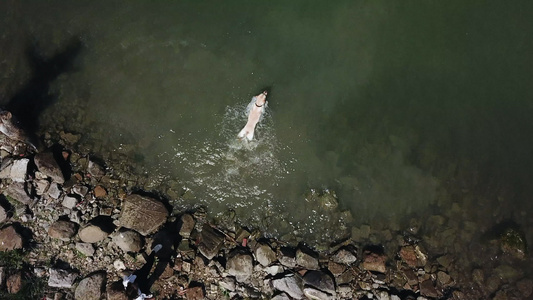 在意大利翁布里亚的一个湖中游泳的狗的空中无人机镜头视频
