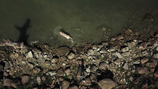 空中无人机拍摄的女孩站在意大利翁布里亚湖的岩石岸边为她的狗扔棍子视频