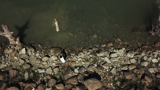 空中无人机拍摄的女孩站在意大利翁布里亚湖的岩石岸边为她的狗扔棍子视频