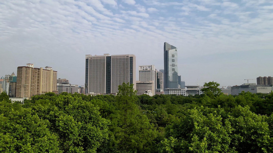 航拍蓝天白云下的城市绿化和商务大楼视频