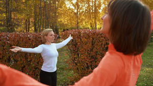 健身女子在秋季公园的户外课上训练瑜伽运动。在城市公园练习瑜伽体式的女性团体。运动女人在公园锻炼时训练瑜伽16秒视频