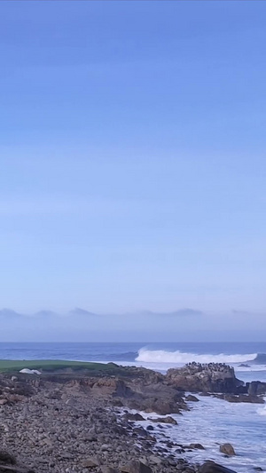 美国西海岸海边风光自驾游40秒视频