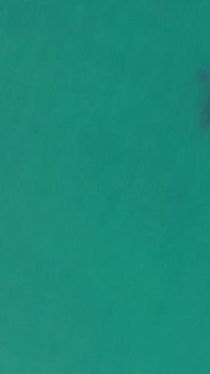 夏季海滨风光航拍视频海岸线39秒视频
