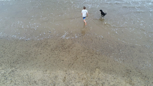 男孩和一条黑狗在海滩边玩耍视频